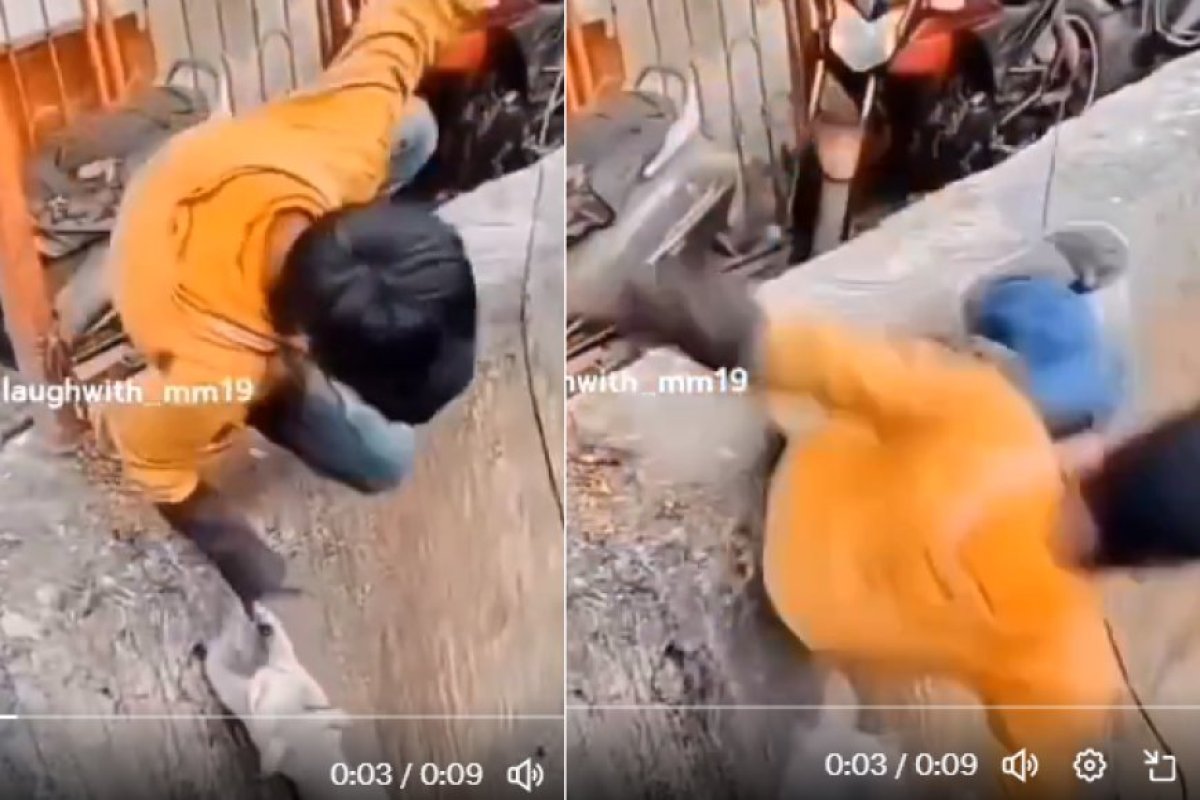 Viral Video: नाले में गिरी बिल्ली- करने चला था बिल्ली की मदद लेकिन किस्मत ने दे दिया धोखा, देखें वीडियो। 
