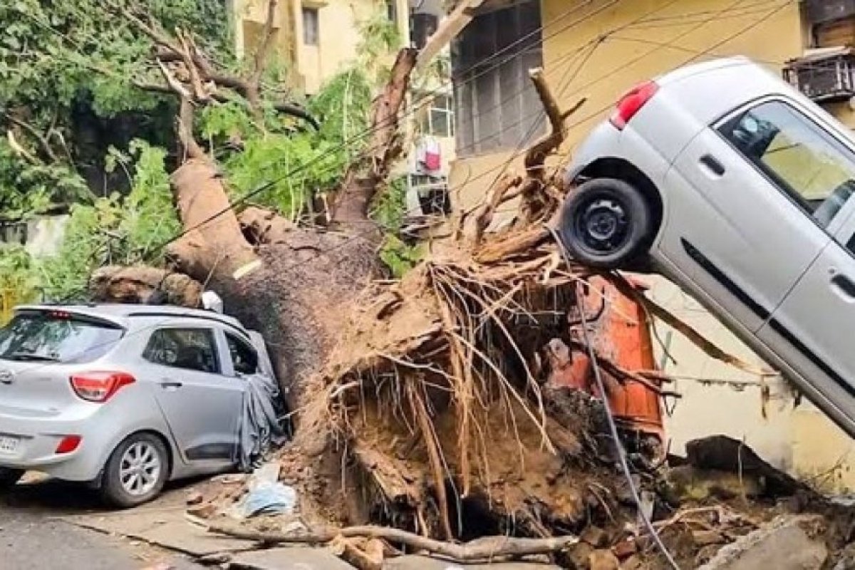 दिल्ली-एनसीआर और यूपी में तूफान और बारिश का कहर: दो की मौत, पेड़-खंभे गिरे, यातायात ठप।