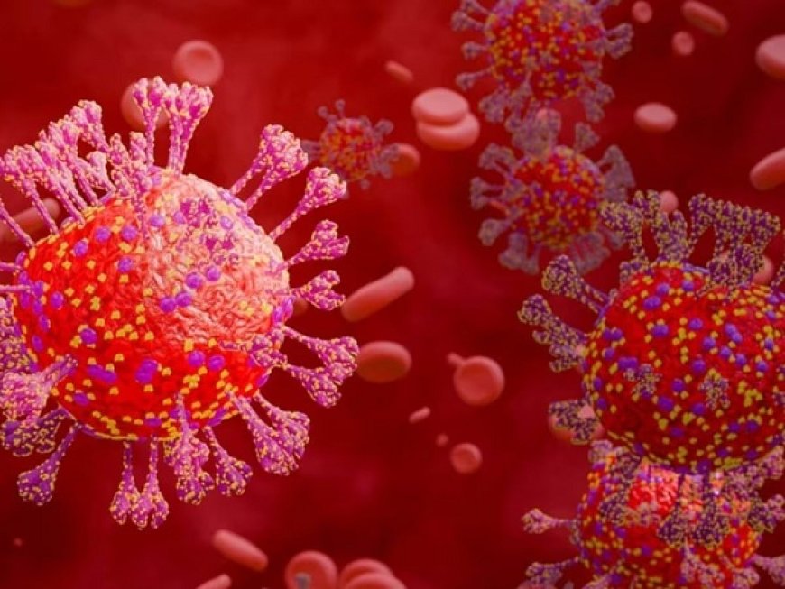 भारत में फिर से सिर उठा रहा कोरोना, महाराष्ट्र और गुजरात में बढ़ते मामले, केरल और तमिलनाडु में सबसे ज्यादा मामले, देश में 257 सक्रिय मरीज। 