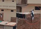 Trending: बागपत में होटल की छत से 12 फीट नीचे कूदी महिला, प्रेमी संग पकड़े जाने के बाद फरार, वायरल वीडियो ने मचाई सनसनी।