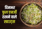 Sprouted क्यों खाना चाहिए, अंकुरित खाने के फायदे, वेट लॉस और हेल्थ के लिए पौष्टिक आहार जिससे रहे दिन-भर फुल एनर्जी।  