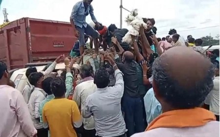 Viral: छत्तीसगढ़ में मानवता पर सवाल: मुर्गियों की लूट के बीच तड़पता रहा घायल ड्राइवर।