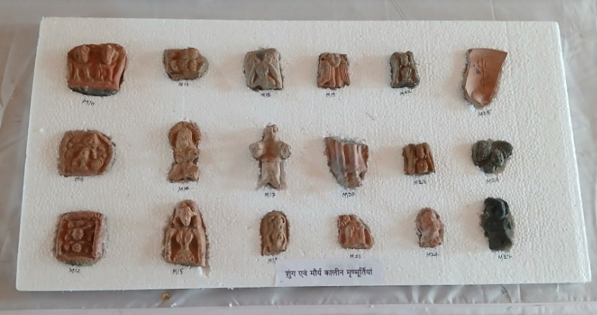 Trending: राजस्थान के बहज गांव में खुला इतिहास का खजाना, महाभारत, मौर्य और शुंग काल के अवशेष, नर कंकाल इजराइल भेजा गया