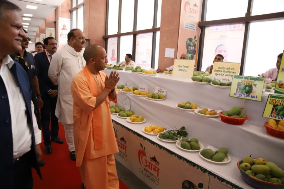 Lucknow News : 04 जुलाई को आयोजित आम महोत्सव-2025 में 800 से अधिक आम की प्रजातियों का होगा प्रदर्शन, सीएम योगी करेंगे उद्घाटन
