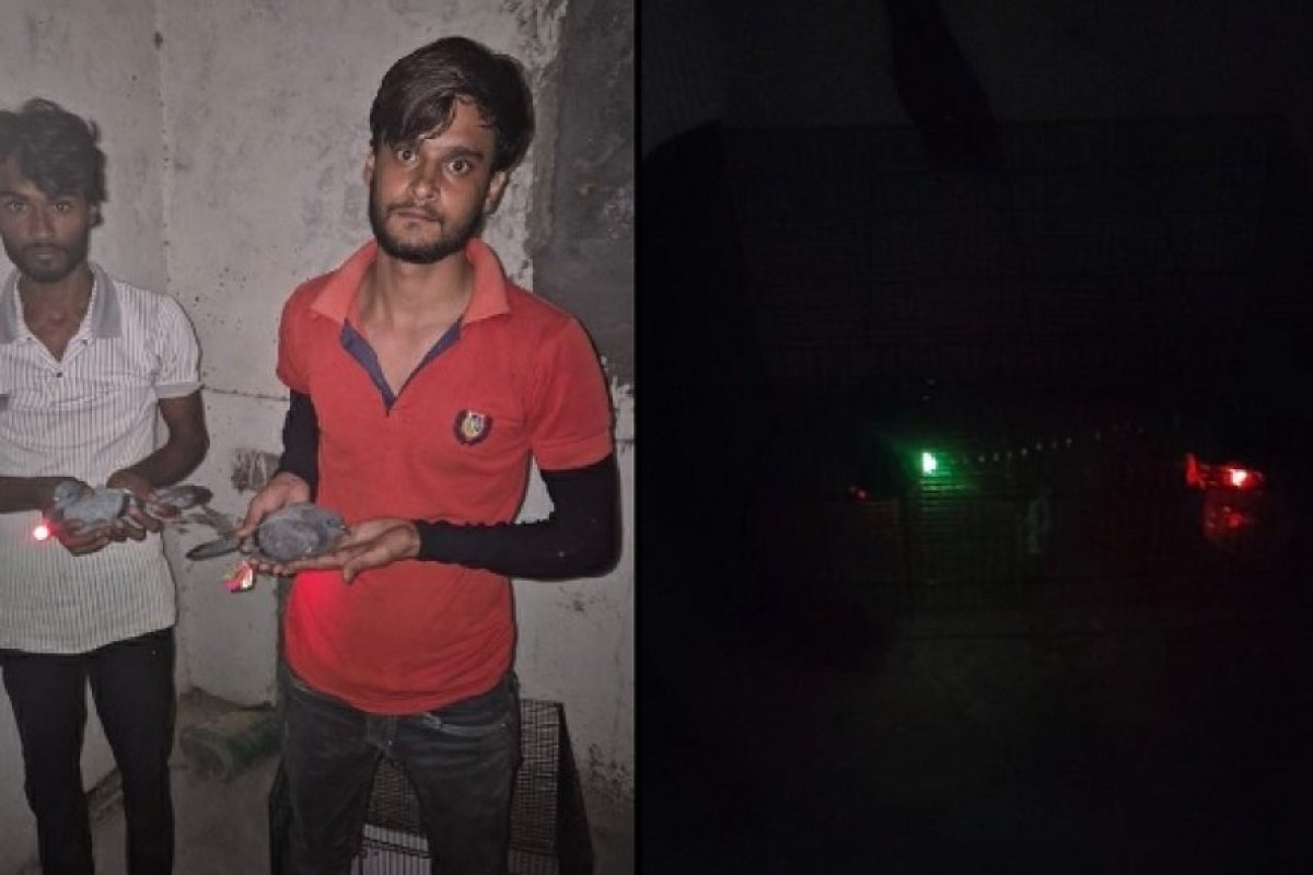 मुजफ्फरनगर में कबूतरों से ड्रोन की अफवाह फैलाने वाले दो युवक गिरफ्तार।