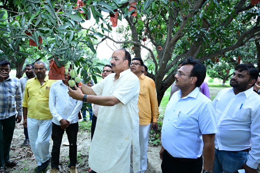 Lucknow News : मुख्यमंत्री 4 जुलाई को करेंगे आम महोत्सव-2025 का शुभारंभ, तीन दिवसीय आम महोत्सव में 600 से अधिक किस्मों के आम होंगे प्रदर्शित