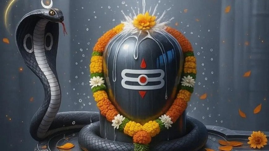 Nag Panchami 2025: शिवलिंग पर ये चीजें चढ़ाकर पाएं कालसर्प दोष से मुक्ति और भगवान शिव का आशीर्वाद। 