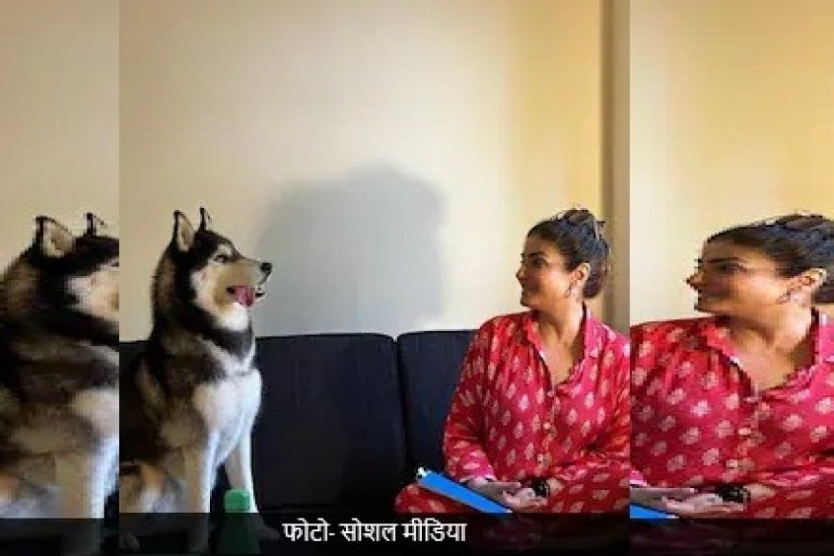 आवारा कुत्तों की बढ़ती संख्या पर एक्ट्रेस रवीना टंडन ने स्थानीय निकायों को ठहराया जिम्मेदार।