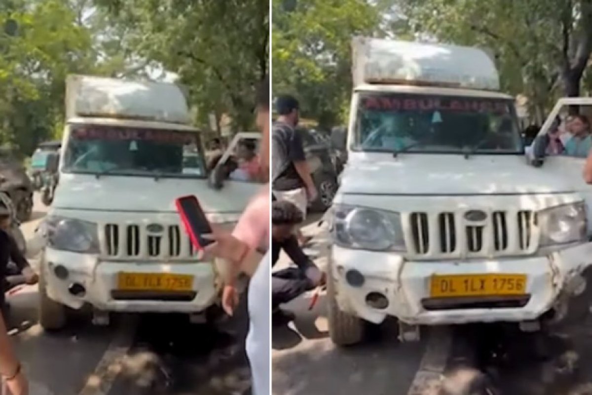 दिल्ली: रोहिणी में MCD की डॉग कैचर टीम पर हमला, डॉग लवर्स ने वैन तोड़ी, कुत्ते छुड़ाए। 