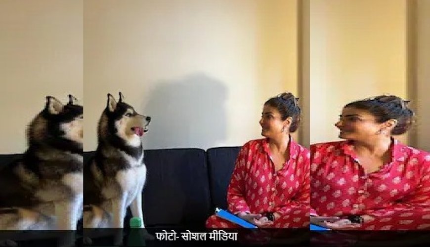 आवारा कुत्तों की बढ़ती संख्या पर एक्ट्रेस रवीना टंडन ने स्थानीय निकायों को ठहराया जिम्मेदार।