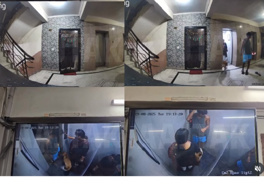 गाजियाबाद के इंदिरापुरम में पालतू कुत्ते का हमला, मेड घायल, सीसीटीवी में कैद हुई घटना, सुरक्षा पर सवाल।