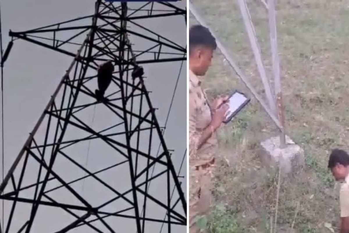 Muzaffarnagar: प्रेमिका की शादी रुकवाने शोले का वीरू बना अर्जुन, बिजली टावर पर चढ़कर किया हाई वोल्टेज ड्रामा।