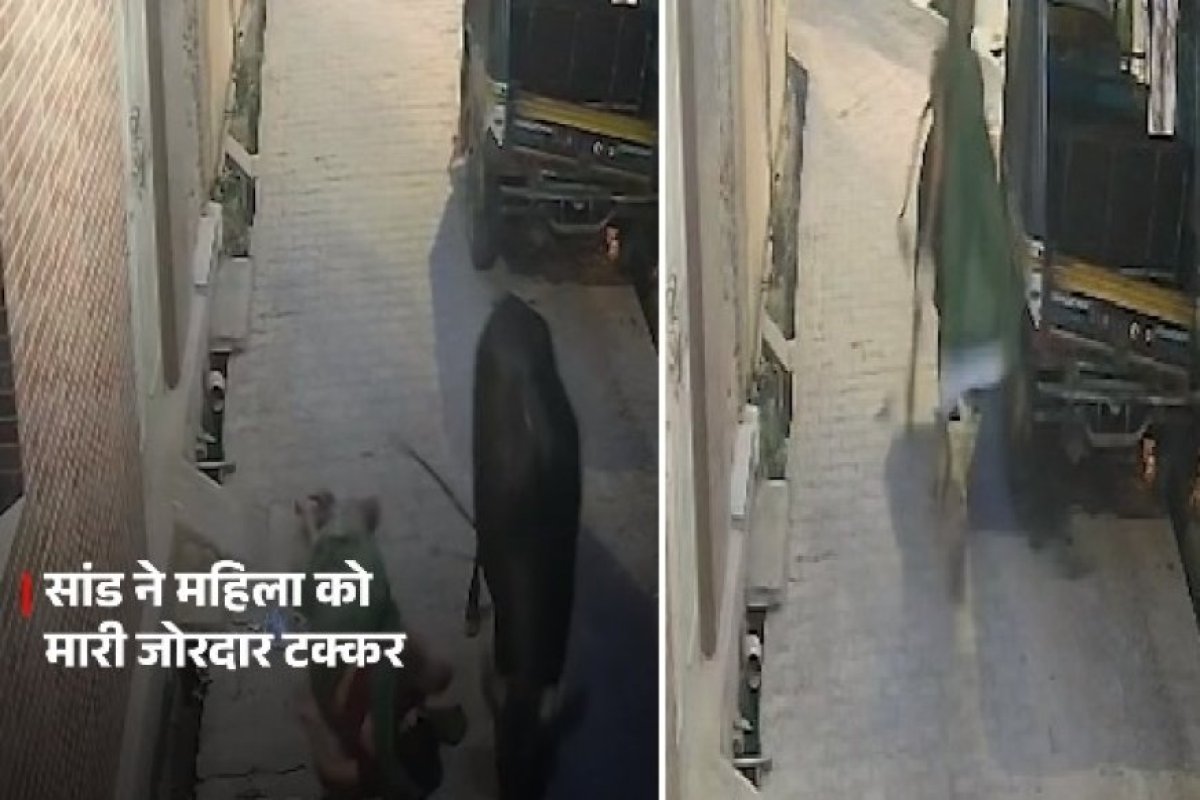 Jhansi: बबीना में आवारा सांड ने महिला को हवा में उछालकर पटका, सीसीटीवी वीडियो वायरल।