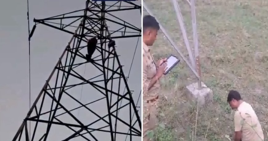 Muzaffarnagar: प्रेमिका की शादी रुकवाने शोले का वीरू बना अर्जुन, बिजली टावर पर चढ़कर किया हाई वोल्टेज ड्रामा। 