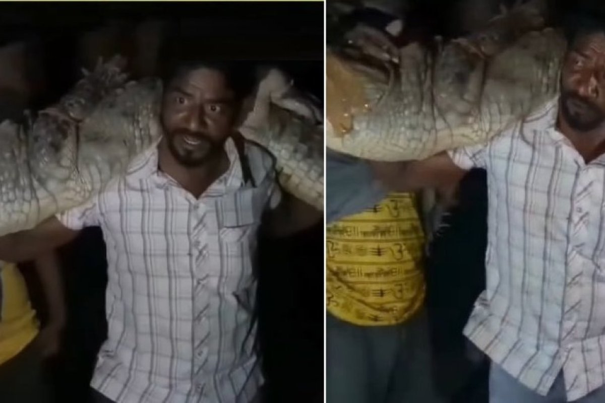 कोटा में घर में घुसा 8 फीट का विशाल मगरमच्छ: हयात खान ने कंधों पर उठाकर चंबल नदी में सुरक्षित छोड़ा, ग्रामीणों में डर का साया।