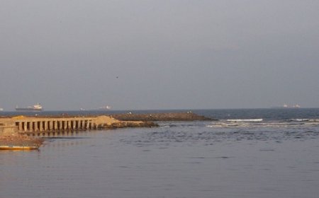 चेन्नई: Cooum नदी पर फैला जहरीला झाग, सेंबरंबक्कम झील के अतिप्रवाह ने बढ़ाई चिंता।
