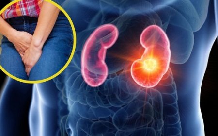 यूरिन में ये 5 बदलाव बताते हैं किडनी डैमेज के संकेत, समय रहते डॉक्टर से जांच कराएं।