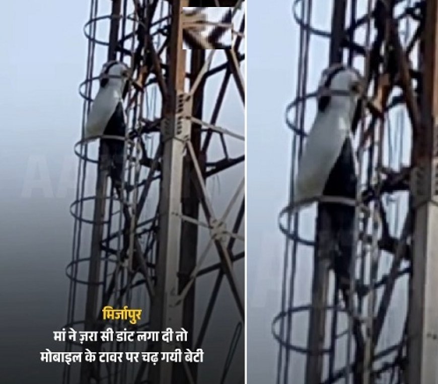 मिर्जापुर के डीह गांव में दीवाली सफाई की डांट से नाराज किशोरी मोबाइल टावर पर चढ़ी, पुलिस ने समझा कर उतारा।