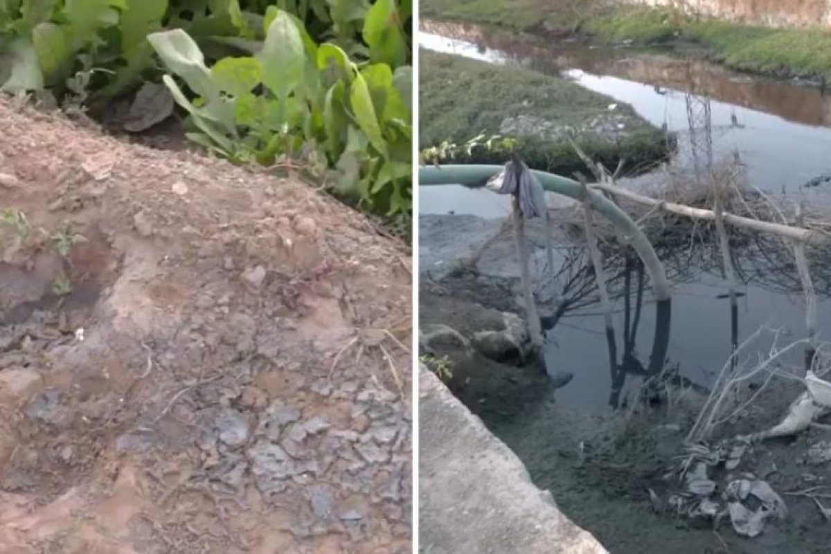 जयपुर के सांगानेर में टेक्सटाइल फैक्ट्रियों का जहरीला effluent, दूषित पानी से उग रही सब्जियां बन रही स्वास्थ्य के लिए स्लो पॉइजन