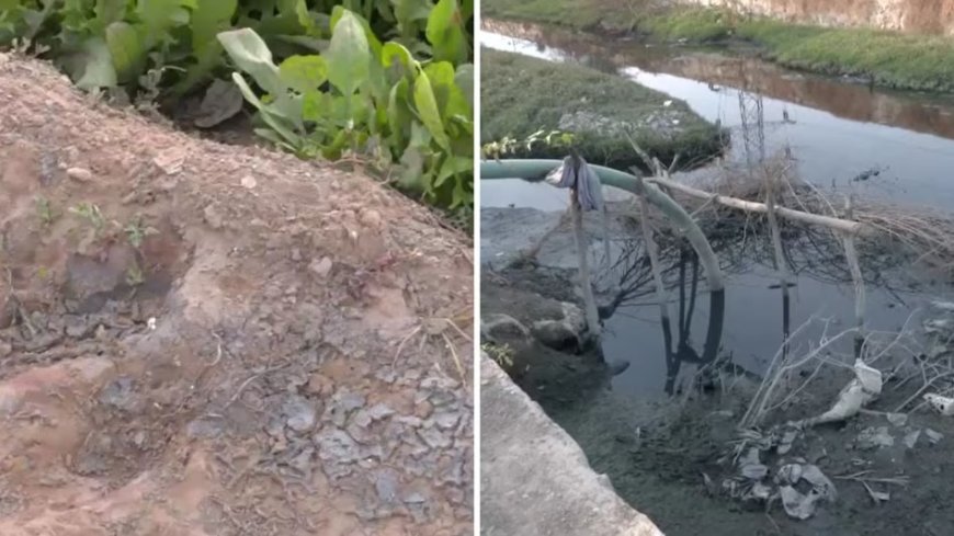 जयपुर के सांगानेर में टेक्सटाइल फैक्ट्रियों का जहरीला effluent, दूषित पानी से उग रही सब्जियां बन रही स्वास्थ्य के लिए स्लो पॉइजन