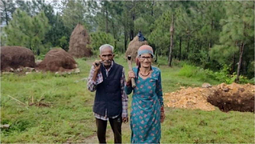 उत्तराखंड के चकोड़ी में बुजुर्ग दंपति ने बंजर पहाड़ी को हरा-भरा जंगल बनाया- 29 साल पहले शुरू की थी मेहनत, आज दिखा रही है कमाल। 