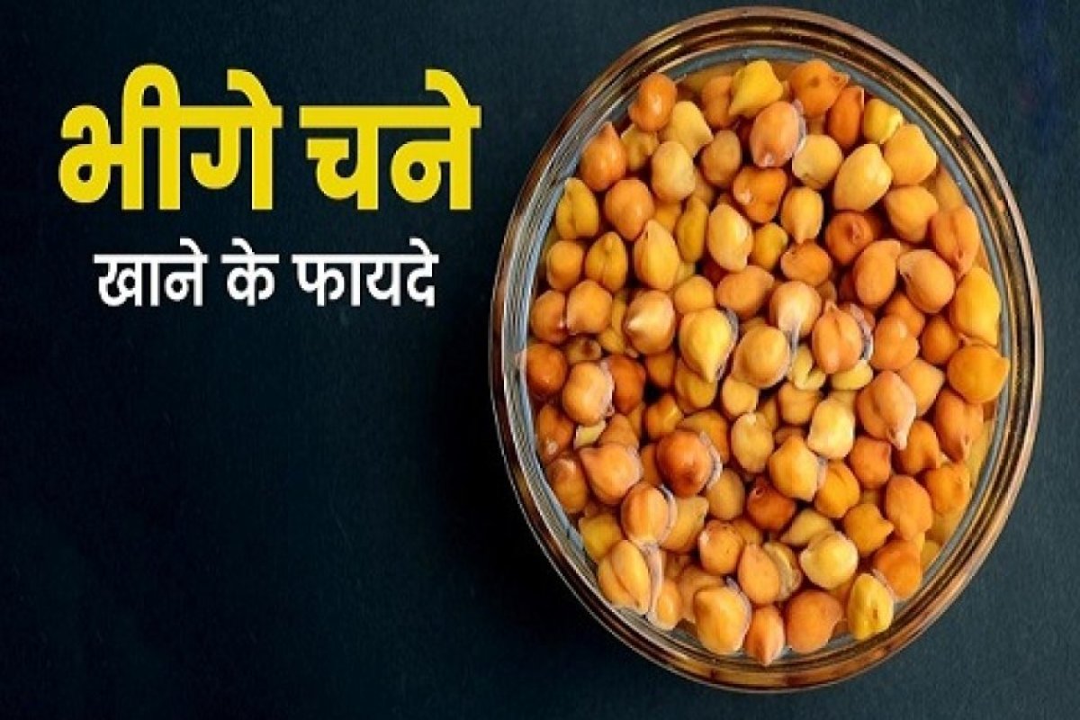 सुबह खाली पेट भीगा हुआ चना खाने से पाचन तंत्र मजबूत होता है, प्रोटीन और फाइबर से भरपूर यह आदत वजन नियंत्रण में सहायक साबित होती है।