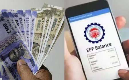 कर्मचारी भविष्य निधि संगठन EPFO जल्द लॉन्च करेगा नया मोबाइल ऐप, UPI से PF राशि सीधे बैंक खाते में ट्रांसफर होगी।