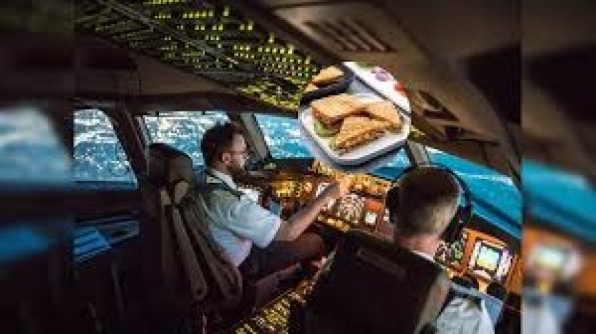 पायलट और को-पायलट को अलग-अलग खाना क्यों दिया जाता है, सुरक्षा के लिए लिया गया अहम फैसला।