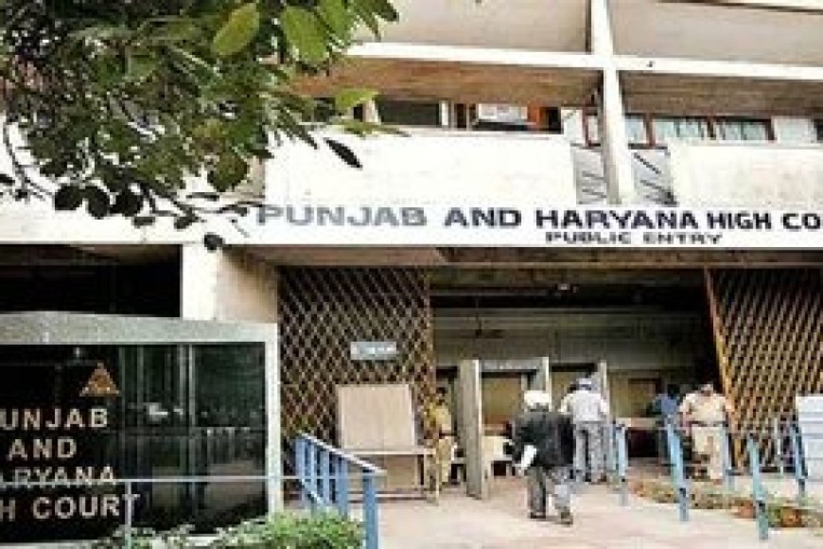 मोगा पंचायत चुनाव में प्रशासनिक लापरवाही पर हाई कोर्ट सख्त: एसडीएम को लगाई कड़ी फटकार, कहा- लोकतंत्र में नहीं चलेगी राजनीतिक दखलअंदाजी।