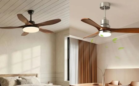 स्मार्ट तकनीक और शानदार डिजाइन का संगम: घर और दफ्तर के लिए सबसे बेहतरीन फैन विकल्प।