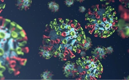 अमेरिका में कोविड-19 के नए 'सिकाडा' वेरिएंट की दस्तक: क्या यह पिछली लहरों से अधिक खतरनाक है?