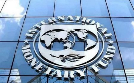 वैश्विक अर्थव्यवस्था पर IMF का बड़ा अलर्ट: महंगाई तोड़ेगी पूरी दुनिया की कमर, स्पेशल रिपोर्ट में देखिये, ये देश हैं शामिल।