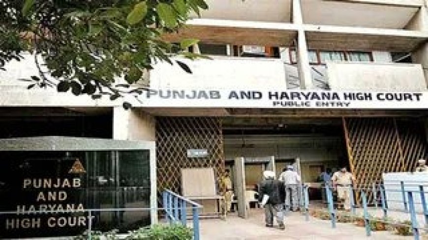 मोगा पंचायत चुनाव में प्रशासनिक लापरवाही पर हाई कोर्ट सख्त: एसडीएम को लगाई कड़ी फटकार, कहा- लोकतंत्र में नहीं चलेगी राजनीतिक दखलअंदाजी।