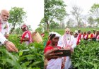 डिब्रूगढ़ के हरे-भरे चाय बागानों के बीच पहुंचे प्रधानमंत्री नरेंद्र मोदी: श्रमिकों के साथ तोड़ीं पत्तियां और साझा किए आत्मीय पल।