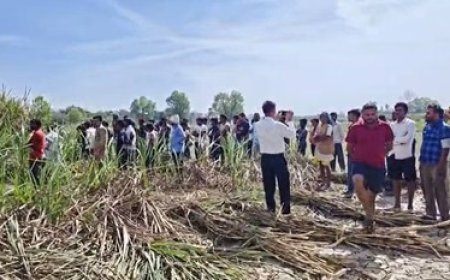 रोंगटे खड़े कर देने वाली वारदात, चार दिन से लापता युवती का क्षत-विक्षत शव गन्ने के खेत में बरामद।