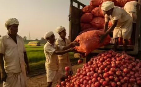 प्याज भंडारण की अनूठी तकनीक: किसानों ने खोजे प्याज को सड़ने से बचाने के बेहतरीन देसी नुस्खे।