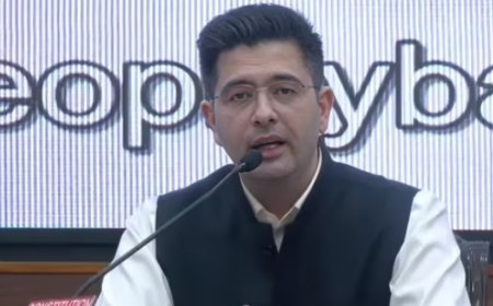 'पीएम मोदी ने लिए वो फैसले जिनसे पहले के नेता कतराते थे', राघव चड्ढा ने प्रधानमंत्री मोदी के नेतृत्व को बताया 'साहसिक और निर्णायक'।