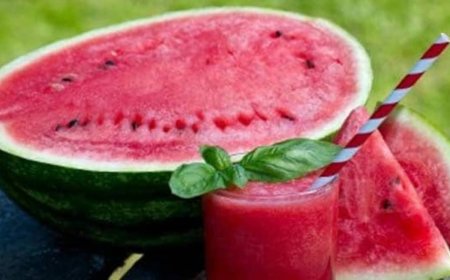 लागत और मेहनत का सही संतुलन: कम पानी में खरबूज या भारी उत्पादन वाला तरबूज, क्या है बेहतर चुनाव?