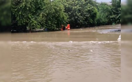 दिल्ली में दर्दनाक हादसा: दीवार फांदकर गोल्फ कोर्स में घुसे थे तीन बच्चे, नहाने के दौरान डूबे; इलाके में मचा कोहराम।