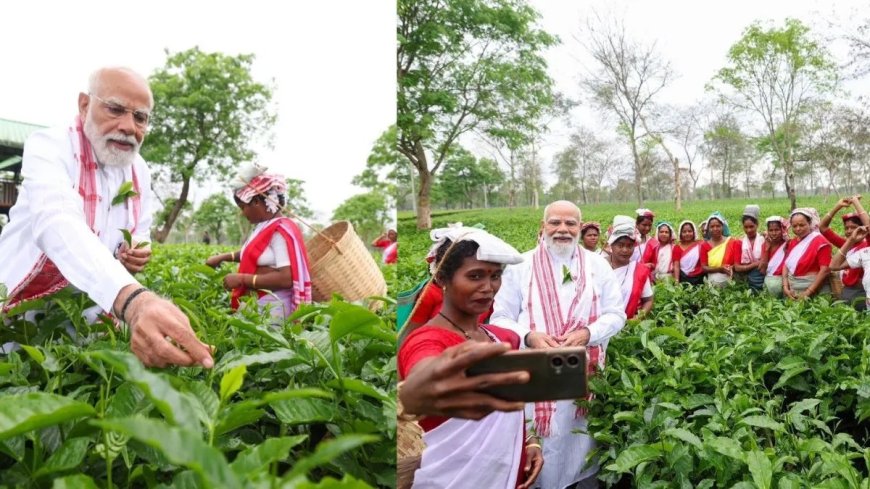 डिब्रूगढ़ के हरे-भरे चाय बागानों के बीच पहुंचे प्रधानमंत्री नरेंद्र मोदी: श्रमिकों के साथ तोड़ीं पत्तियां और साझा किए आत्मीय पल।