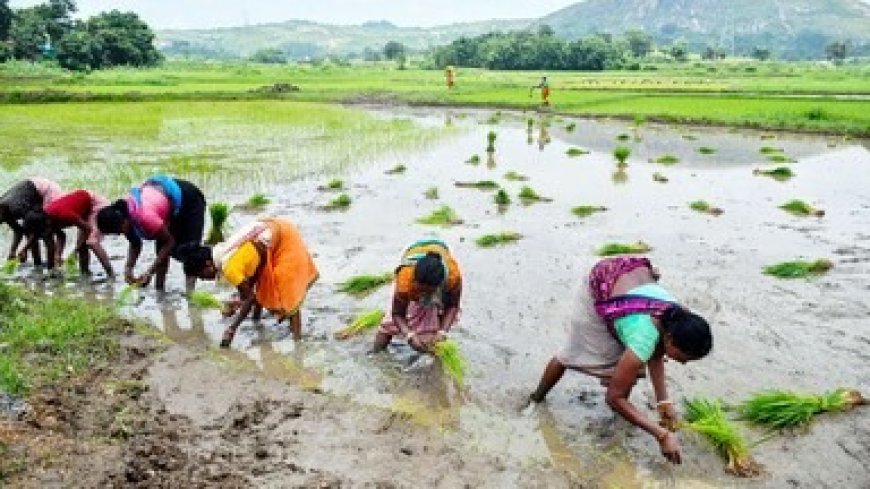 खेती-किसानी की 10 बड़ी अपडेट्स: एमएसपी पर खरीद से लेकर नई तकनीक और मौसम के मिजाज तक, जानें हर जरूरी जानकारी