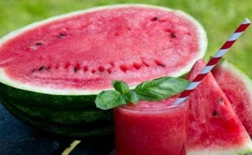 लागत और मेहनत का सही संतुलन: कम पानी में खरबूज या भारी उत्पादन वाला तरबूज, क्या है बेहतर चुनाव?