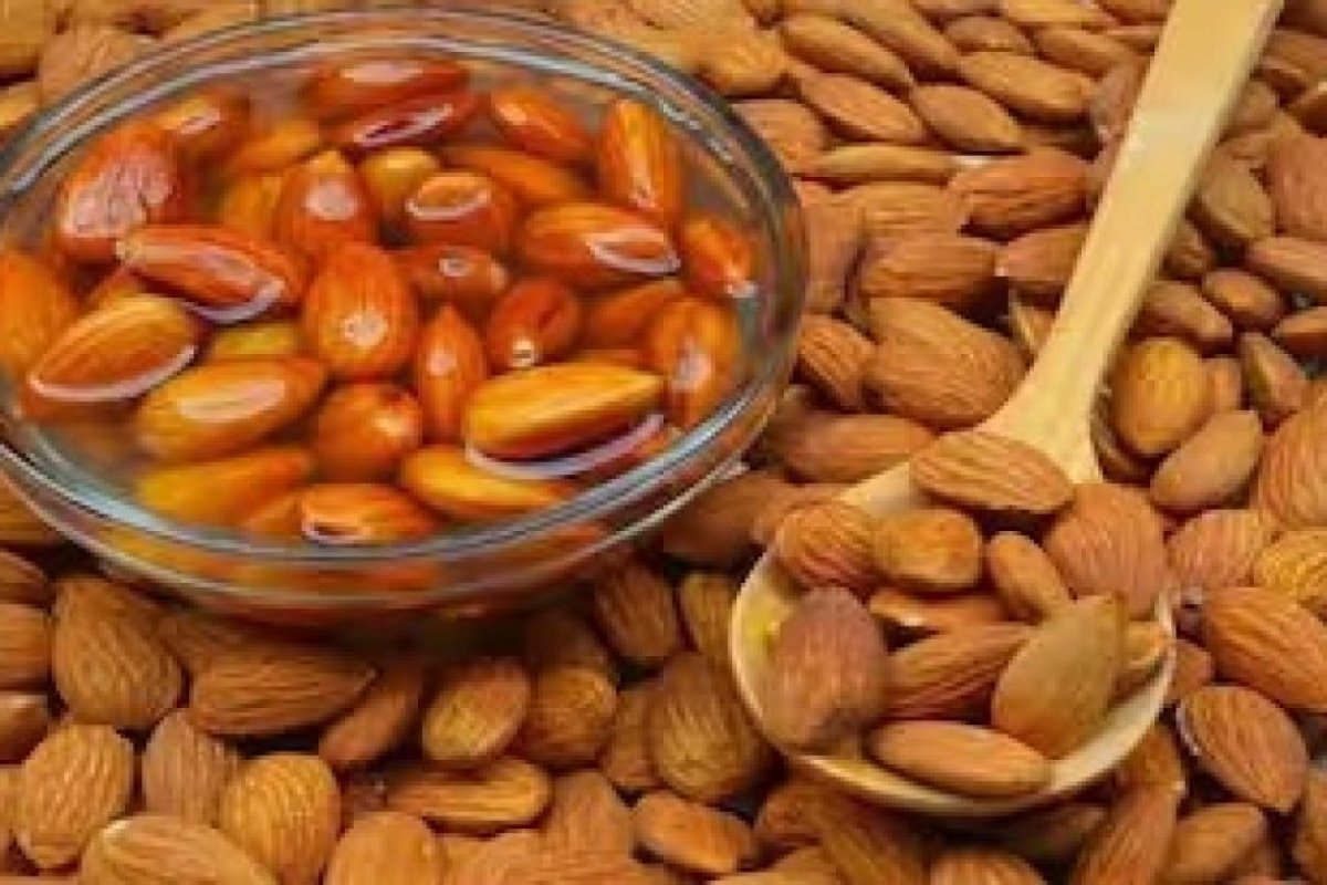 सूखे बादाम खाना सेहत के लिए कितना सही? बिना भिगोए छिलके सहित खाने के शारीरिक प्रभाव