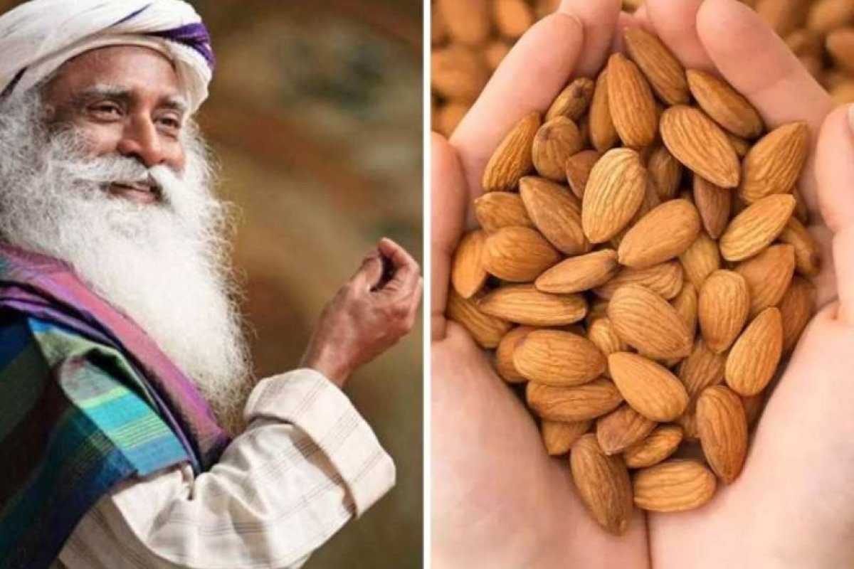 स्वास्थ्य और चेतना का संगम- सद्गुरु ने साझा किए बादाम के सेवन से जुड़े अनमोल स्वास्थ्य सूत्र