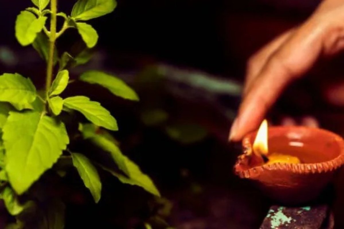 तुलसी के चौके में सिर्फ गाय का घी ही नहीं, तिल के तेल का दीपक जलाने से भी संवरती है किस्मत और दूर होते हैं कई बड़े संकट।