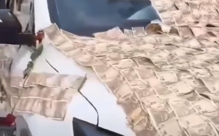 हरियाणा के जींद में अनोखी शादी: फूलों की जगह 10-10 रुपये के नोटों से ढकी नजर आई दूल्हे की लग्जरी कार।