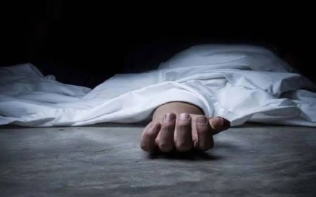 दिल्ली के डाबरी फ्लाईओवर पर भीषण हादसा- तेज रफ्तार कार ने डिलीवरी बॉय को मारी टक्कर, ऊंचाई से गिरने से हुई मौत