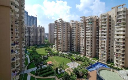 नोएडा में घर का सपना हुआ और महंगा, प्राधिकरण ने आवंटन दरों में की 11 प्रतिशत की रिकॉर्ड बढ़ोतरी