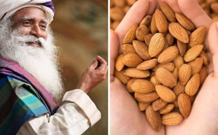 स्वास्थ्य और चेतना का संगम- सद्गुरु ने साझा किए बादाम के सेवन से जुड़े अनमोल स्वास्थ्य सूत्र
