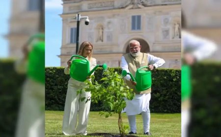 भारत-इटली कूटनीति का नया अध्याय: रोम में प्रधानमंत्री नरेंद्र मोदी और जॉर्जिया मेलोनी ने मिलकर रोपा दोस्ती का पौधा, तस्वीरें आईं सामने।